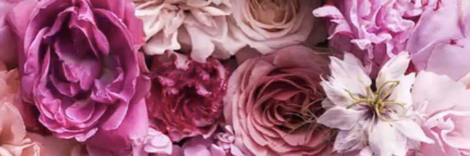 jesswheelwright's profile banner image