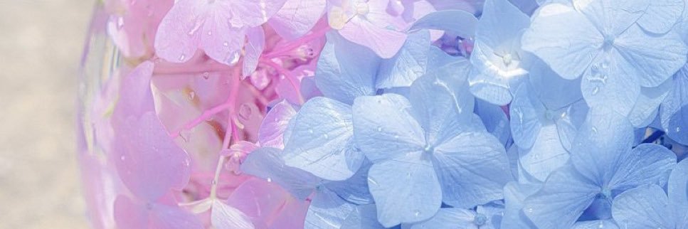 OkiSou's profile banner image