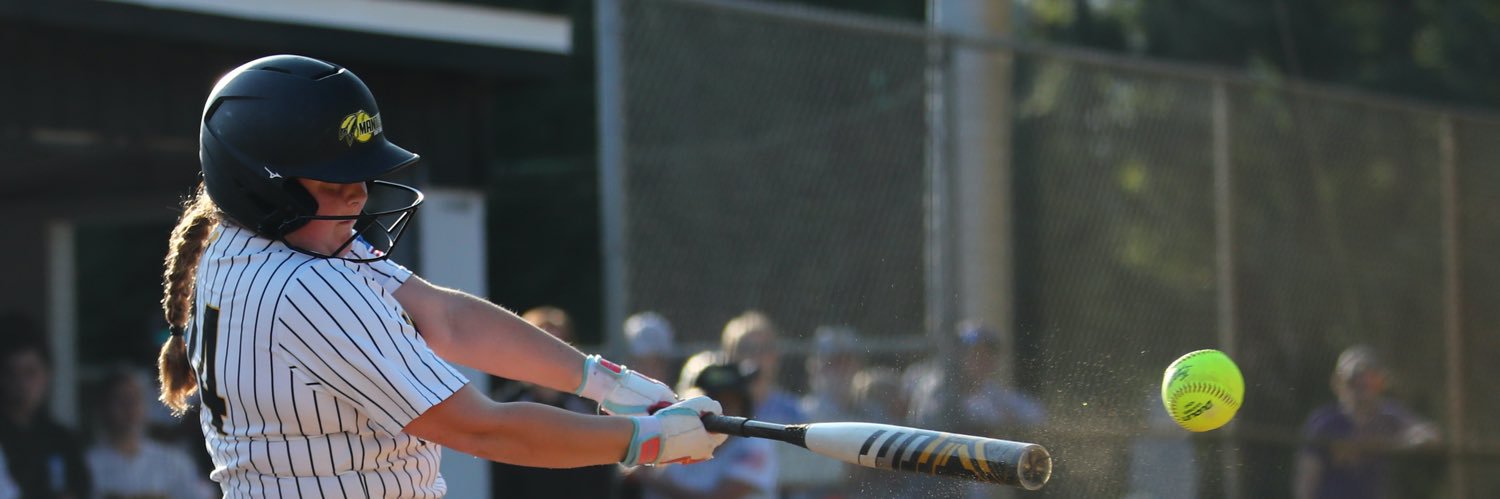 Michael Brisson banner