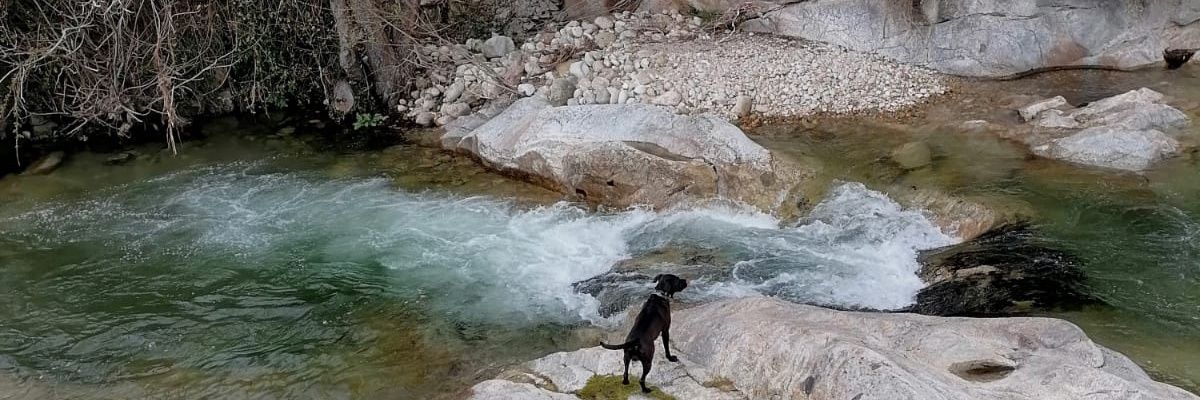 TatoCabrera_'s profile banner image