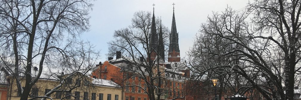 esterpolaina's profile banner image