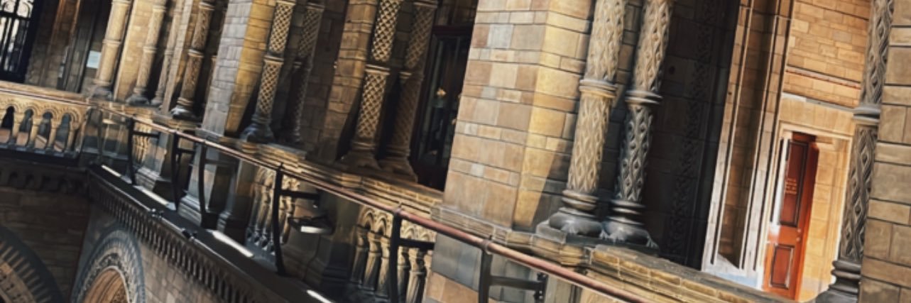 Ginolinoo's profile banner image