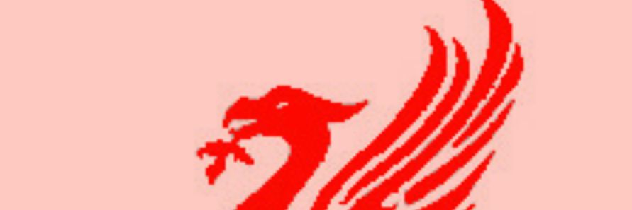 Mr. Harry Kane banner