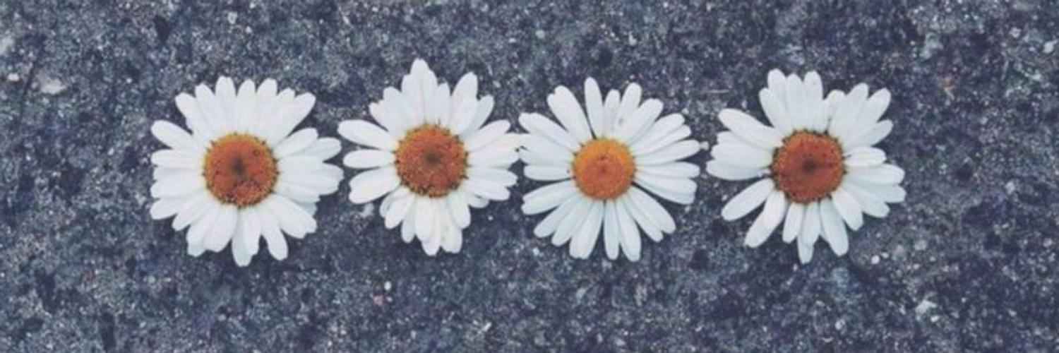 Darlingjess66's profile banner image