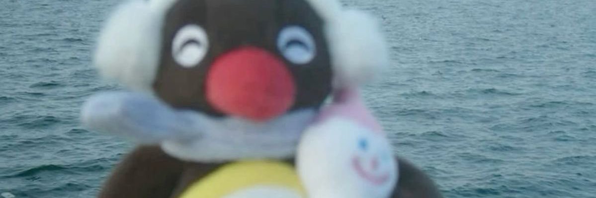 c missi zebi banner