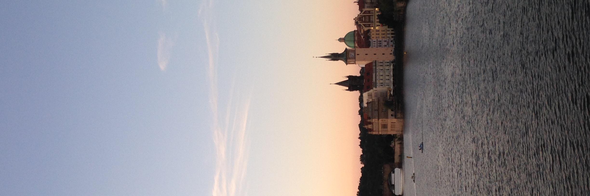 vivalafrieda's profile banner image