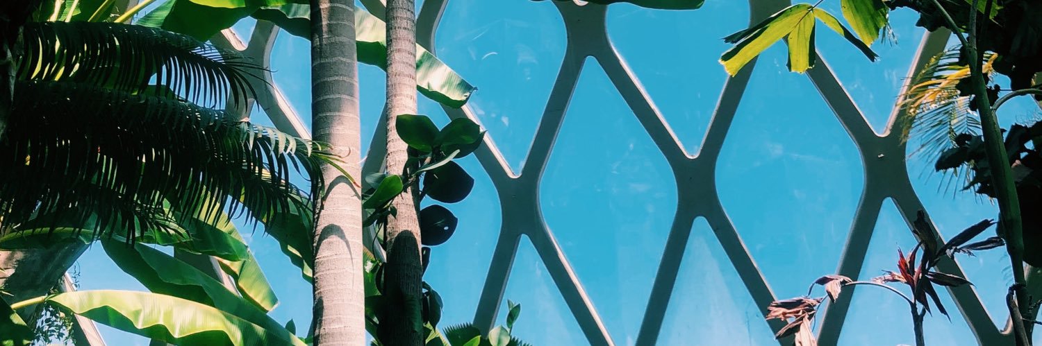 taaywalsh's profile banner image