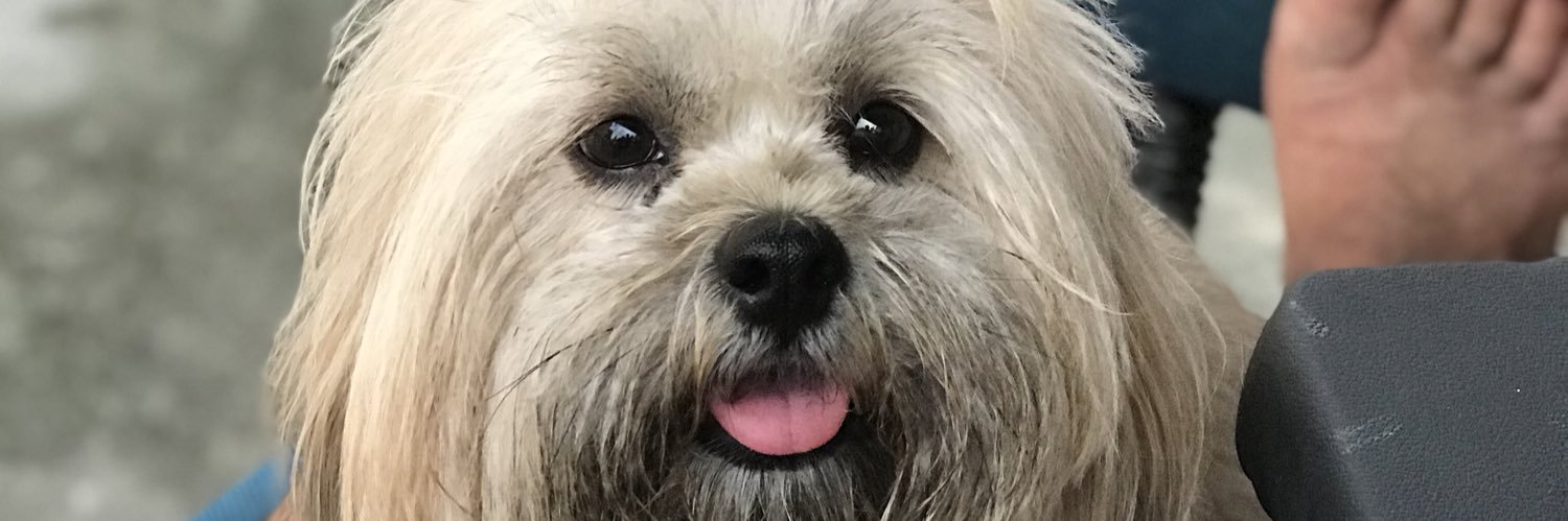 Deeboralacerda's profile banner image