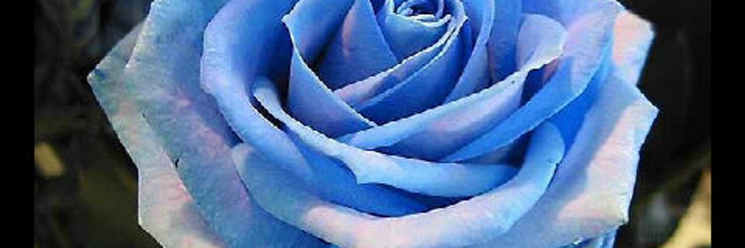 _patri1's profile banner image