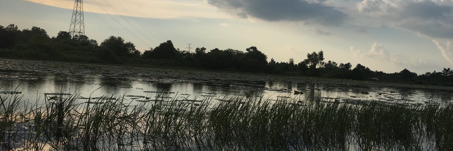 dumover's profile banner image