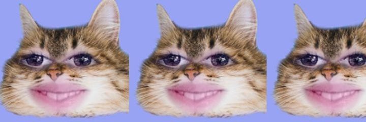 MaiteDuart's profile banner image