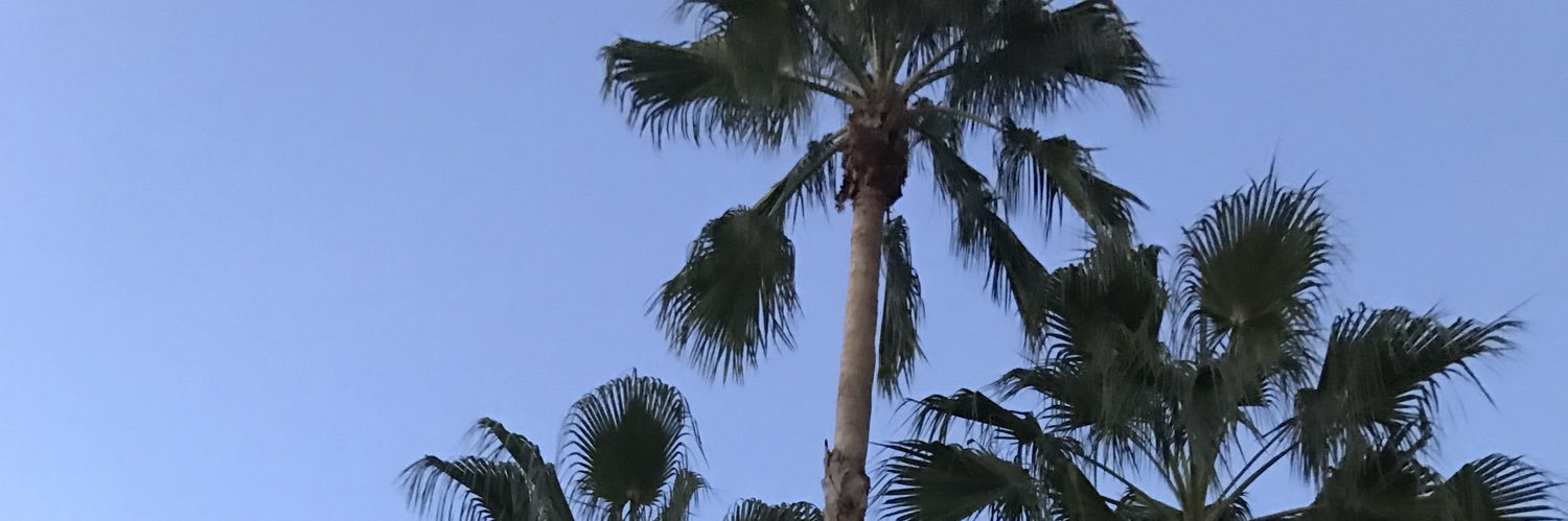 shaeeweston's profile banner image
