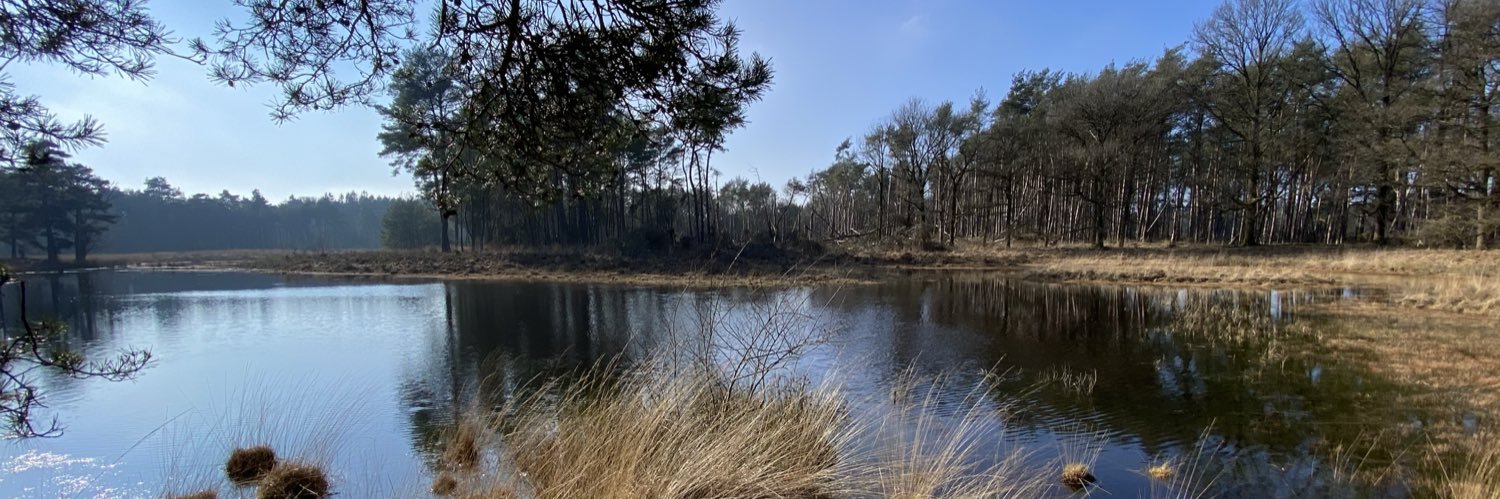 Iris van Gulik banner