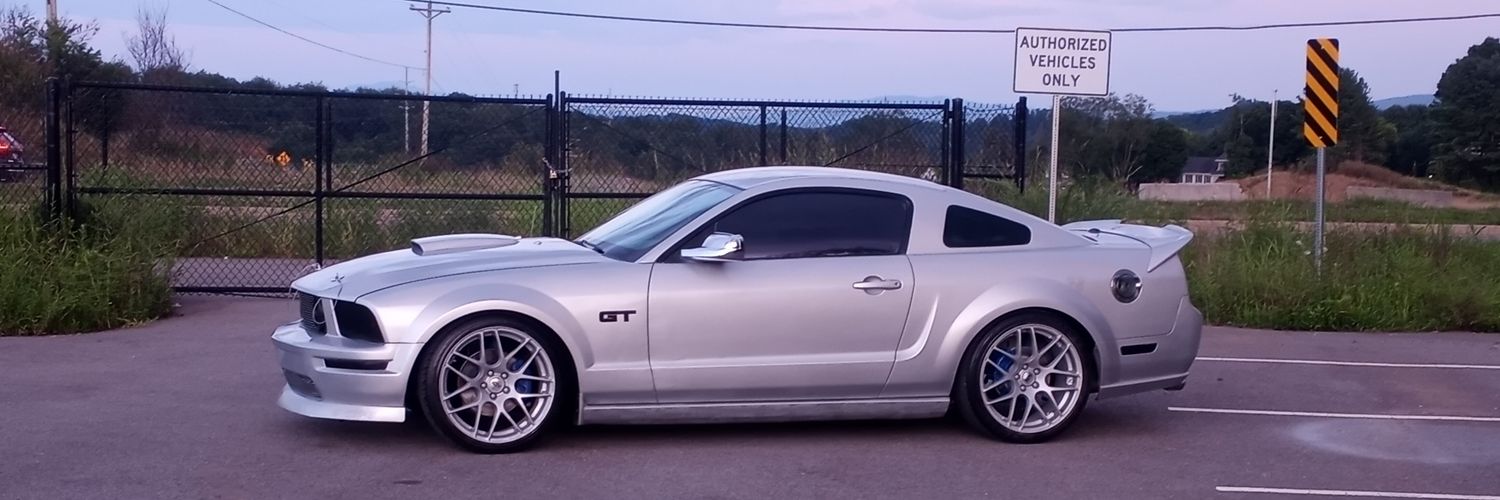 lynnwidener71's profile banner image