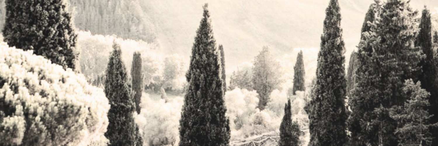 Hagian Itadori Dwn banner