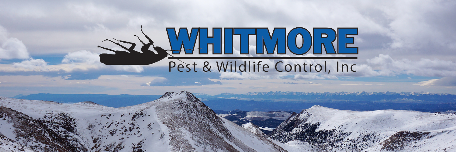 WhitmorePestCtr's profile banner image