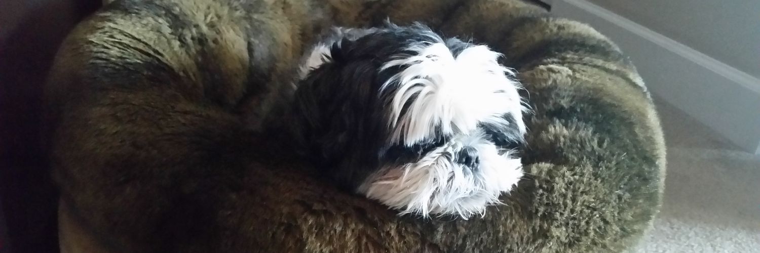 Christopher Weil banner