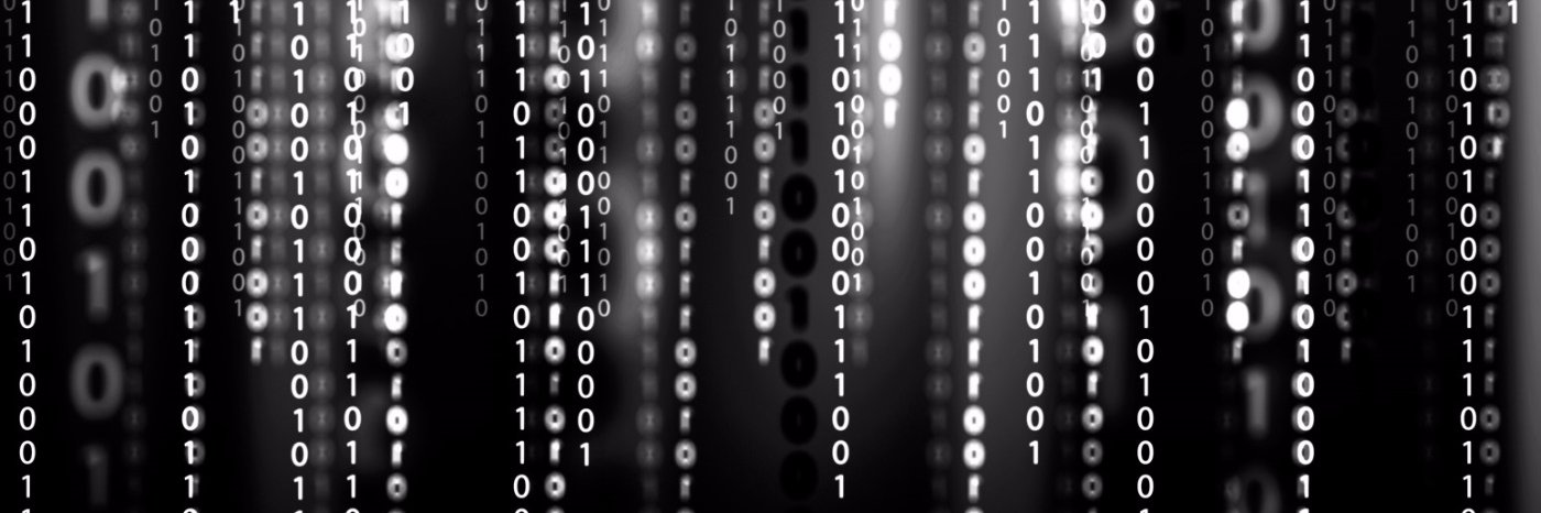 Chihuahua in charge NotMe banner