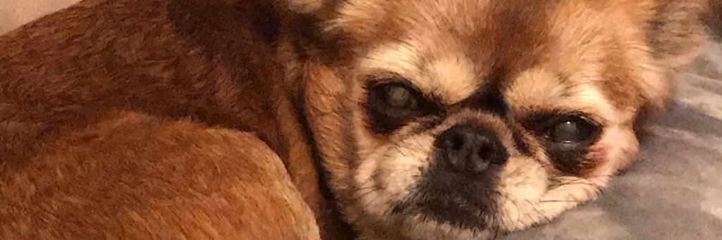 EmilyT1215's profile banner image