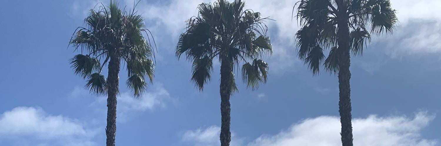 titosalinas_'s profile banner image