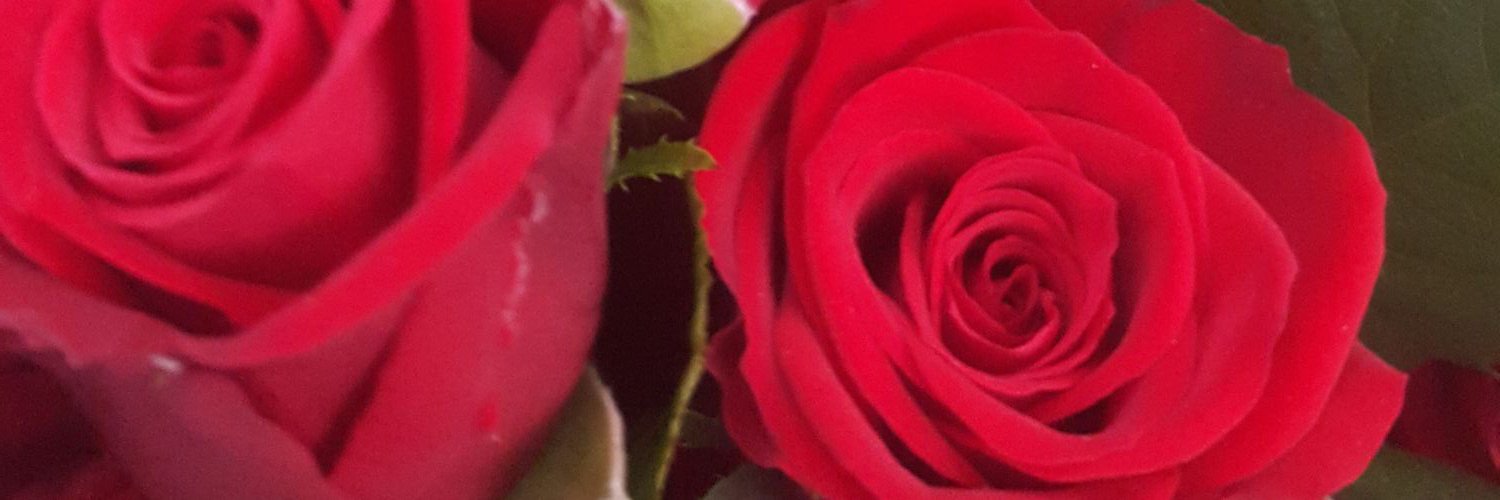 adelcom523's profile banner image