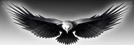 devrankarakas's profile banner image
