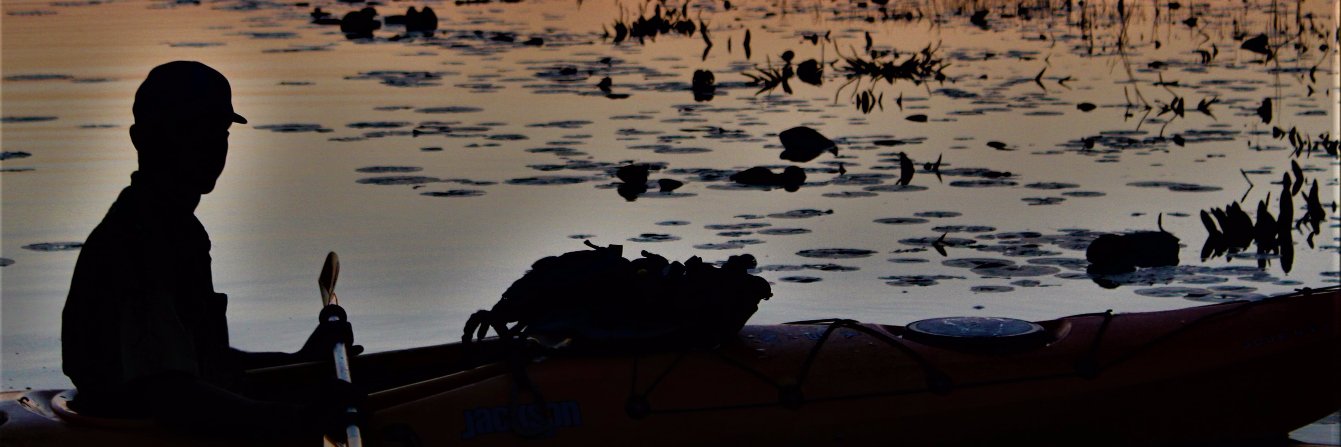Icepick_williee's profile banner image