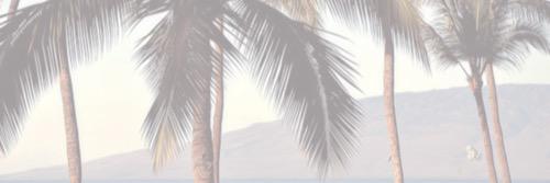 WYRFiveSOS's profile banner image