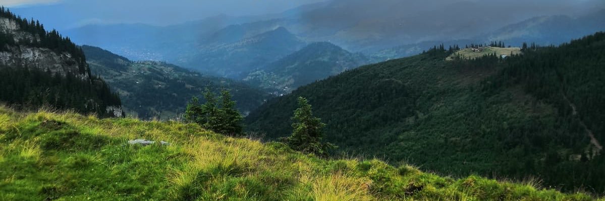 Jenssi_'s profile banner image