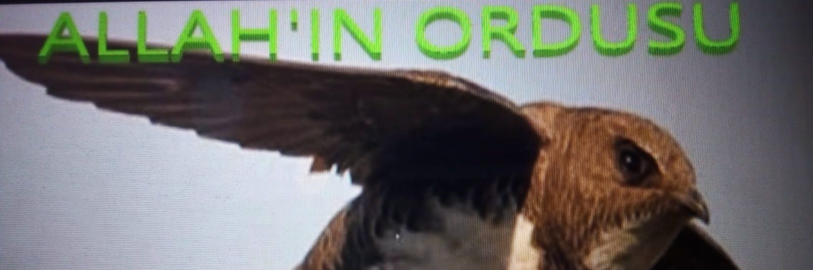 tebrikleerr's profile banner image