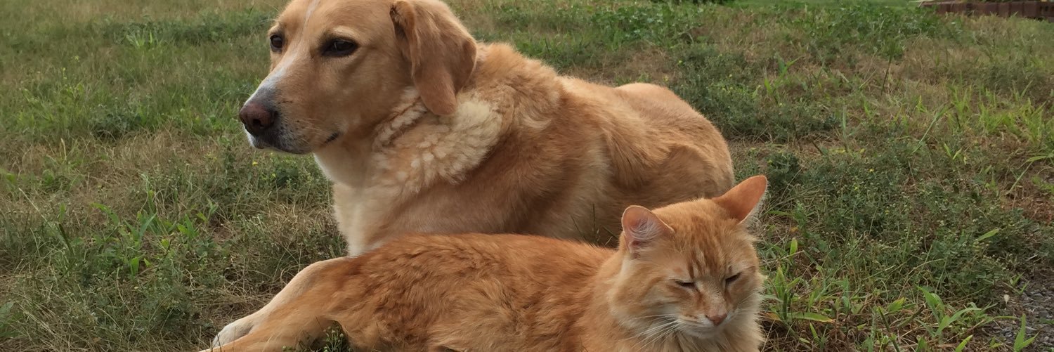 jkavanagh_'s profile banner image