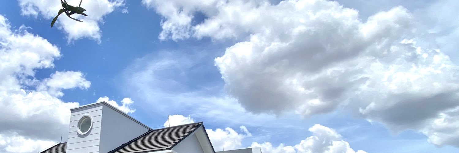 ヾ(⁍̴̆◡⁍̴̆。)ノ banner