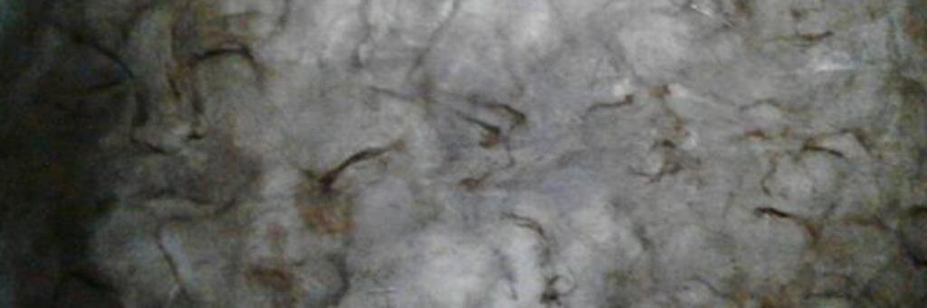 mashendrii's profile banner image