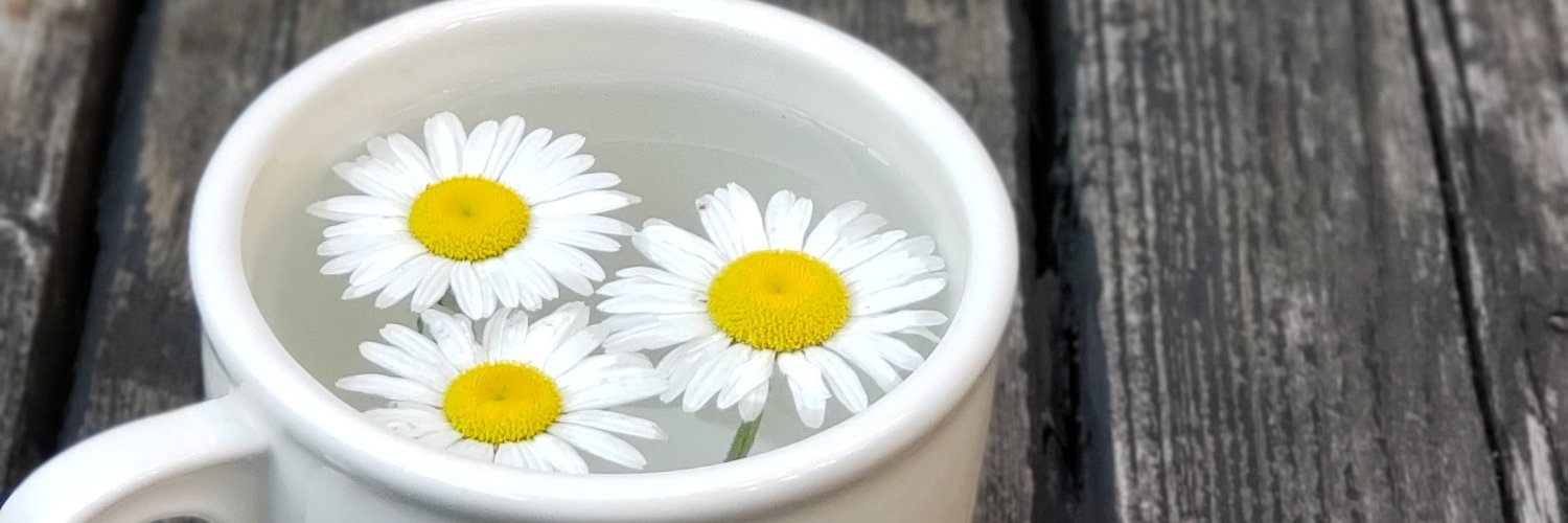 JenBlue_Moon's profile banner image