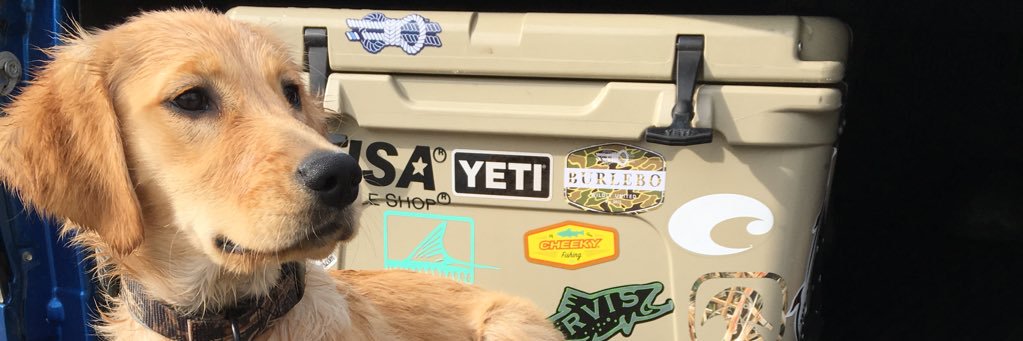 matthewbowers15's profile banner image
