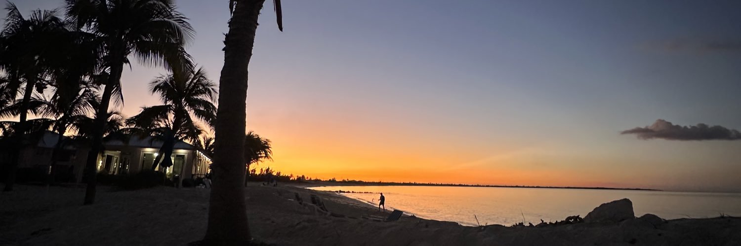 mandachildress's profile banner image