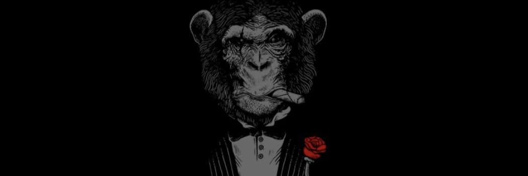 Kash_TCE's profile banner image