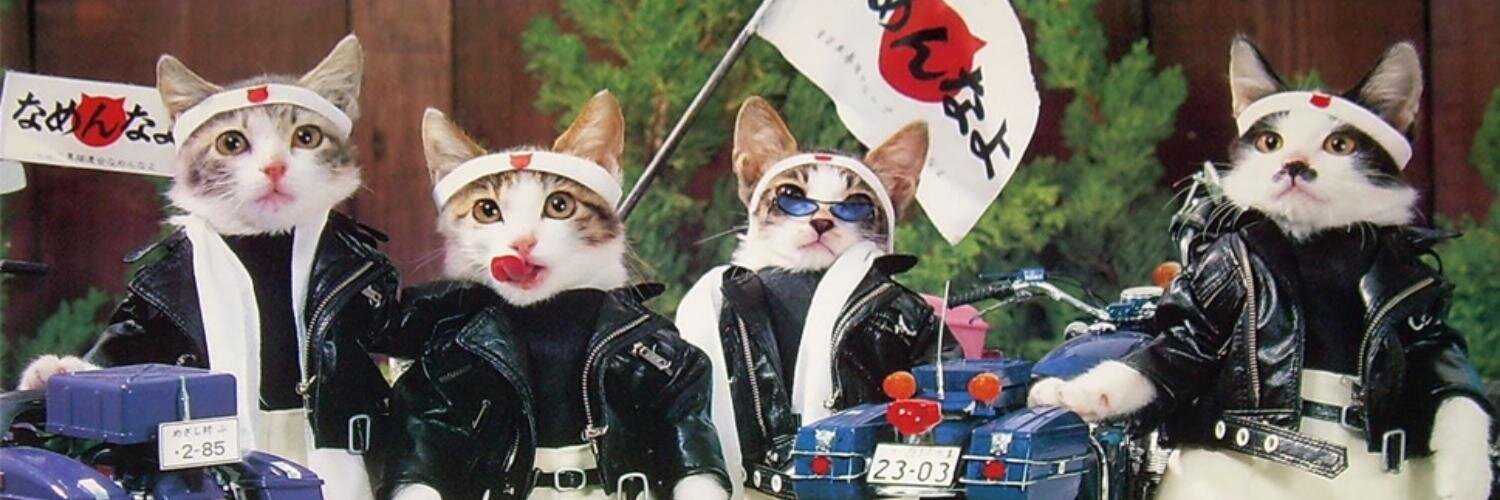 FEWHashimoto's profile banner image