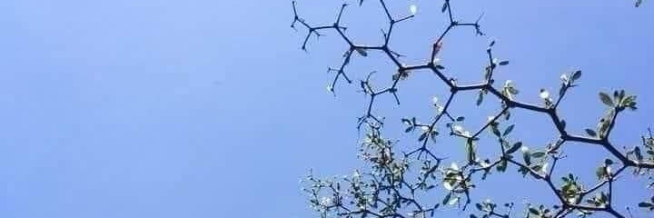 Andrew S - Face! 🚀 banner