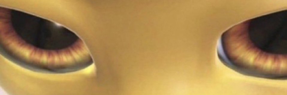 nuggetbrewbrew's profile banner image