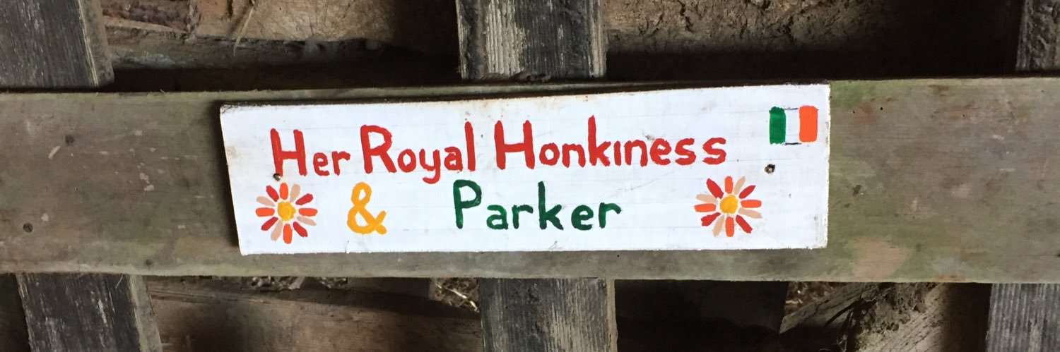 3Paddocks Smallholding banner