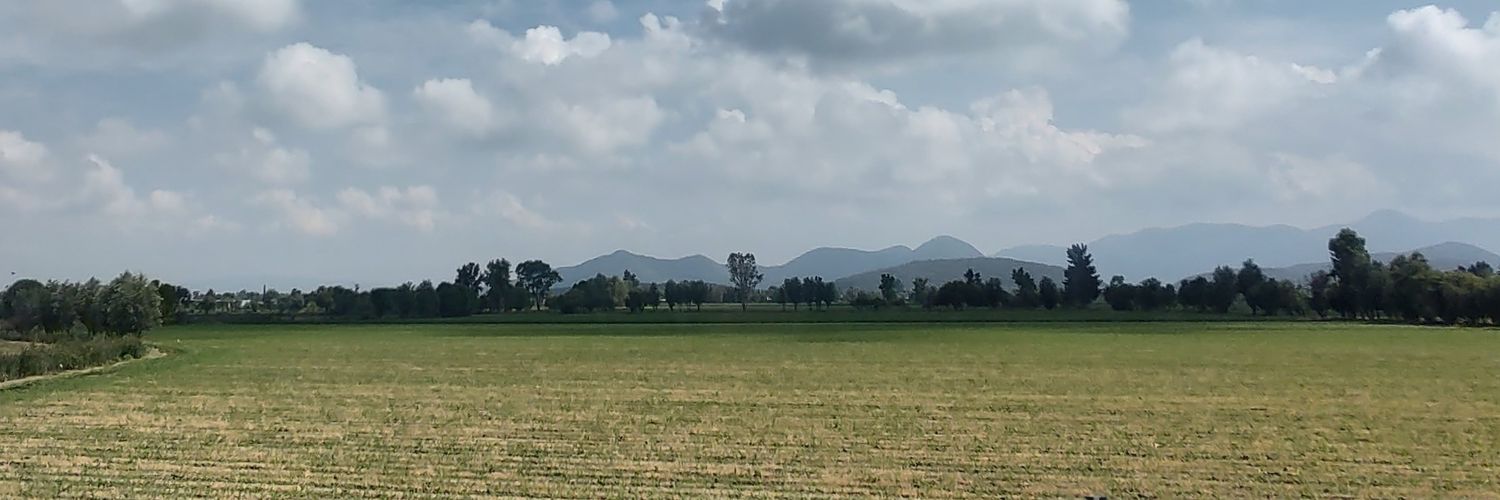 Guillermina Pérez S. banner