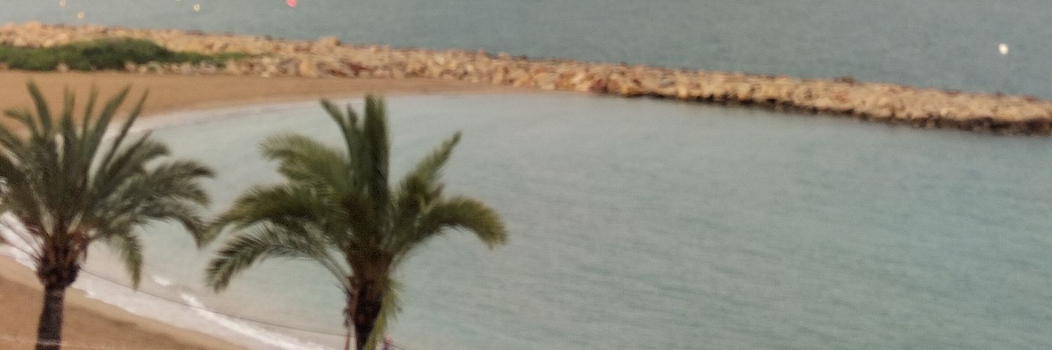ConchaBC's profile banner image