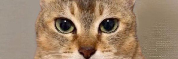 CtoMiles Profile Banner