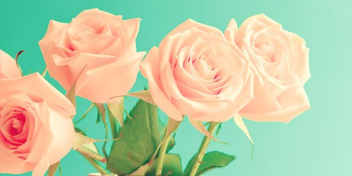 Armysaskiia's profile banner image