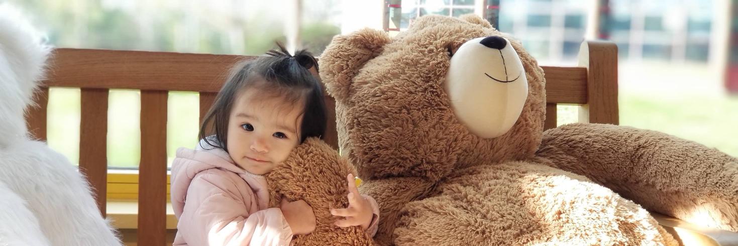 VTTeddyBear's profile banner image