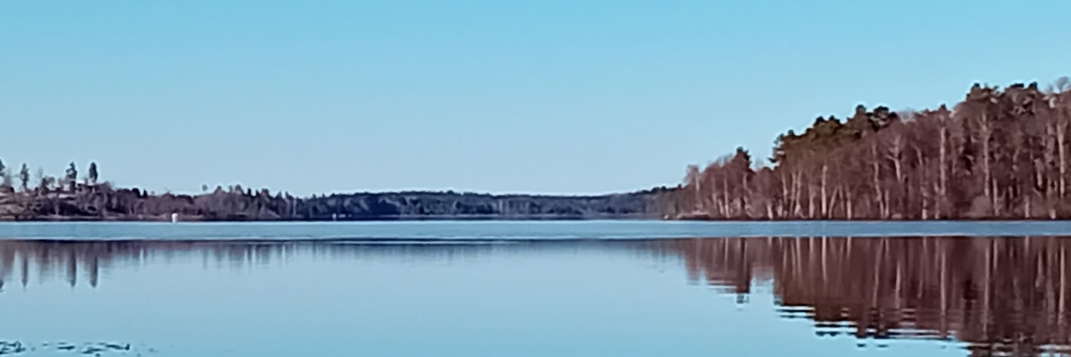 Erik van Walree banner