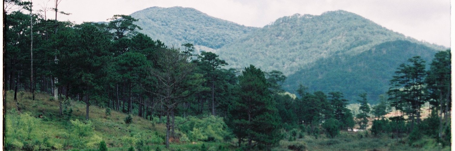 ananjing2586's profile banner image