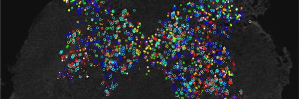 AllodiLab Profile Banner