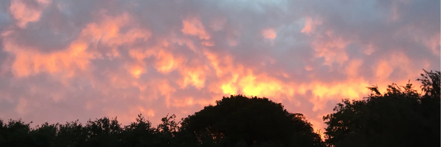 Sunshiner75's profile banner image